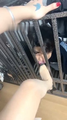 【木子大大】狗笼圈养/舔高跟耳光/犬化/鞭打 bf29018