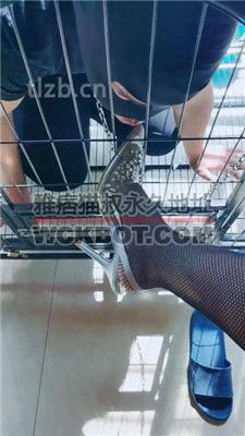 【西安欣】嘴贱的下场就是这么惨【下】 bf34116