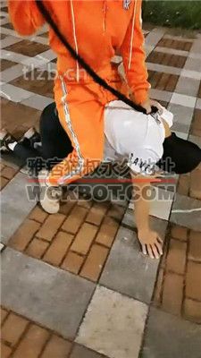 【广东迪迪】双S-户外骑马爬行【双视角版】 bf36981