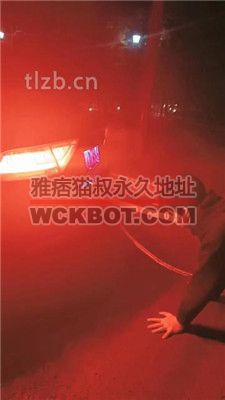 【昭玥】夜调-开车遛狗/骑马钻胯/绑树耳光 JS231209-8