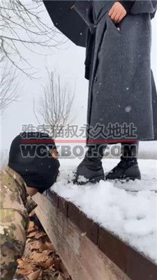 【辣姐】冰天雪地公开处刑惩罚狗 bf38070