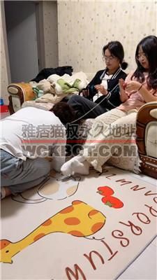 【学生双主】双S-首次开发品尝口水/圣水-原味白袜脚虐 bf40214